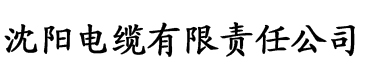 深度开发电缆厂logo